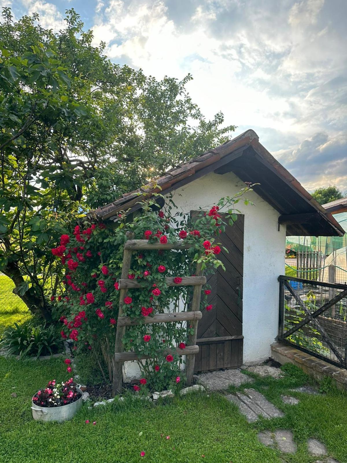 Casa Giovannella فيلتري المظهر الخارجي الصورة